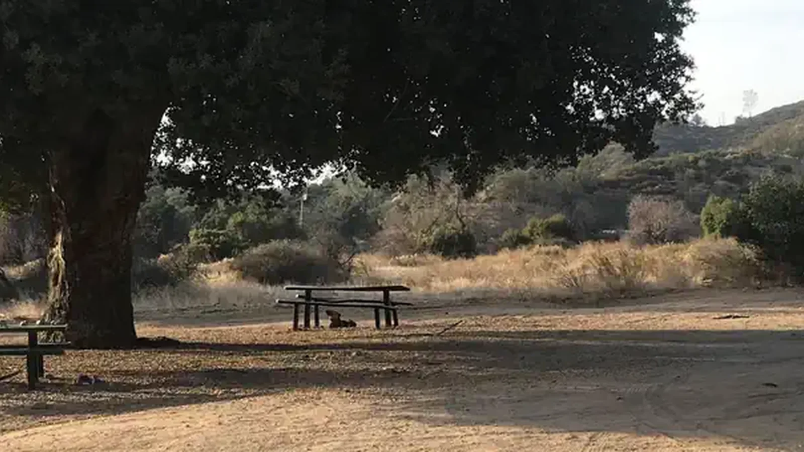 Turkey Flat OHV Campground