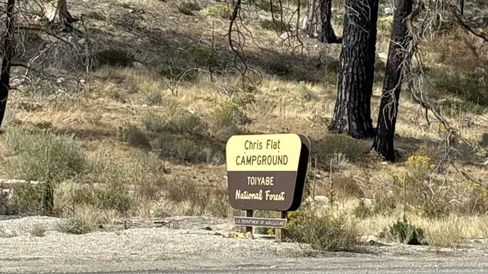 A photo of facility Chris Flat with No Amenities Shown