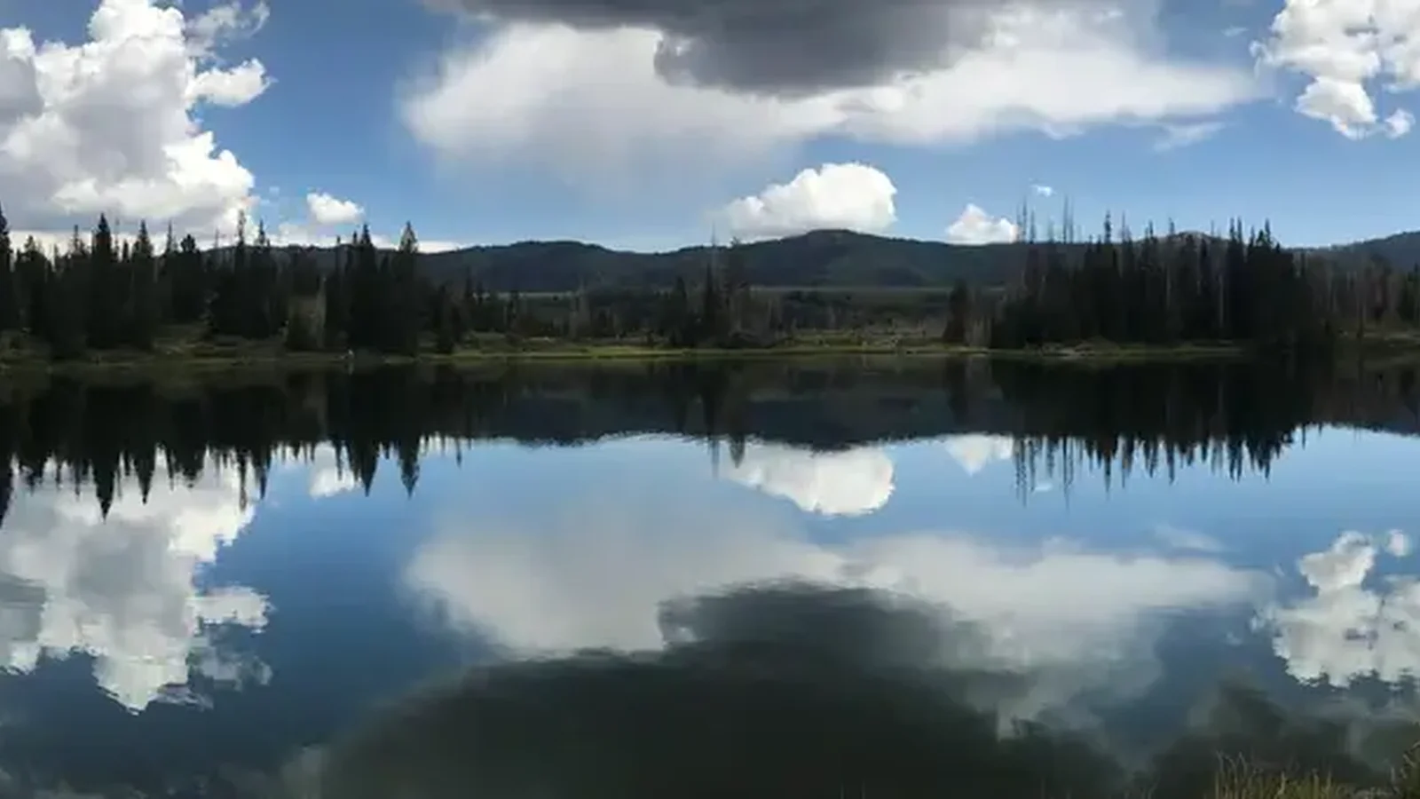 Potters Pond