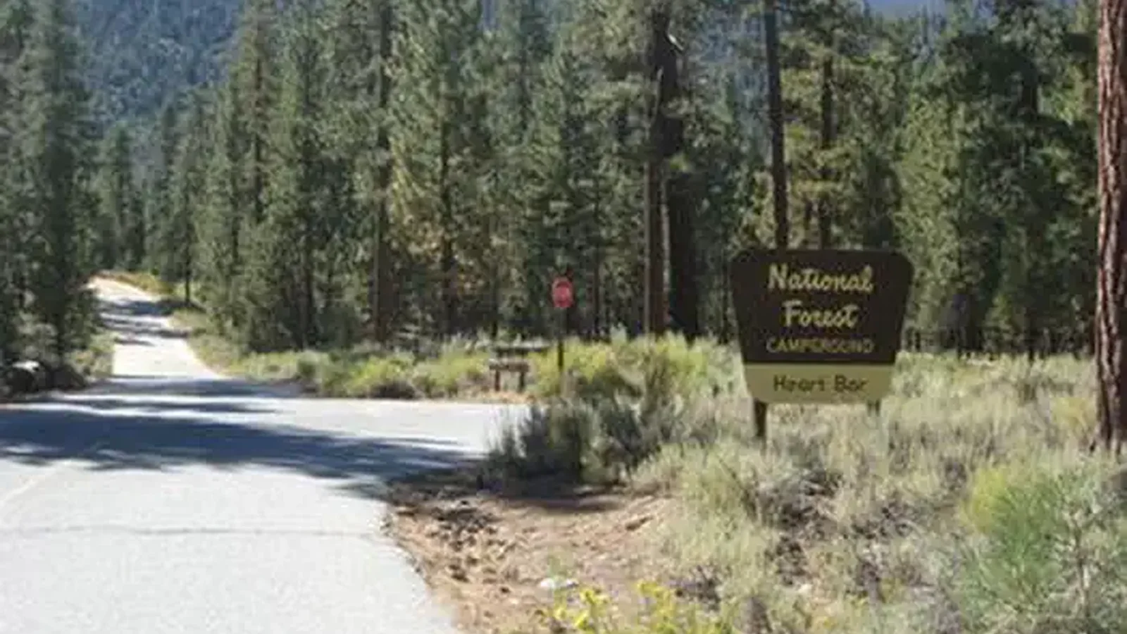 Road leading to Heart Bar Campground Sign