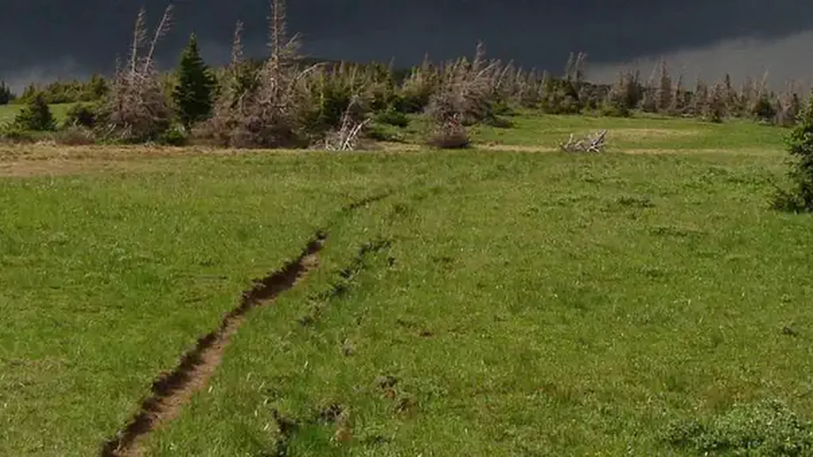 Continental Divide National Scenic Trail
