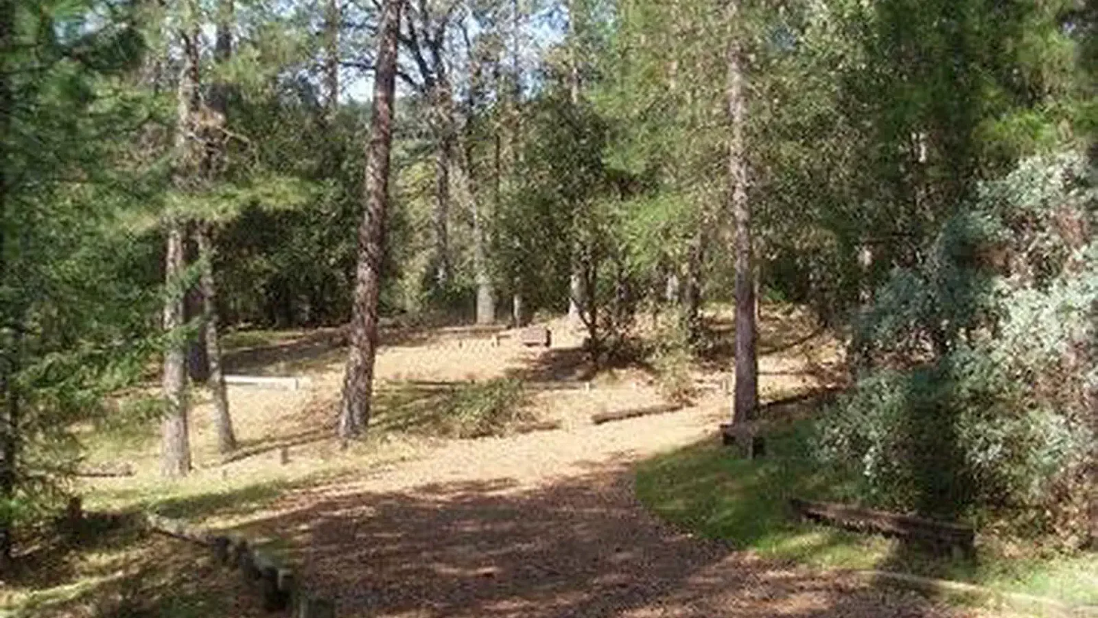 MOORE CREEK