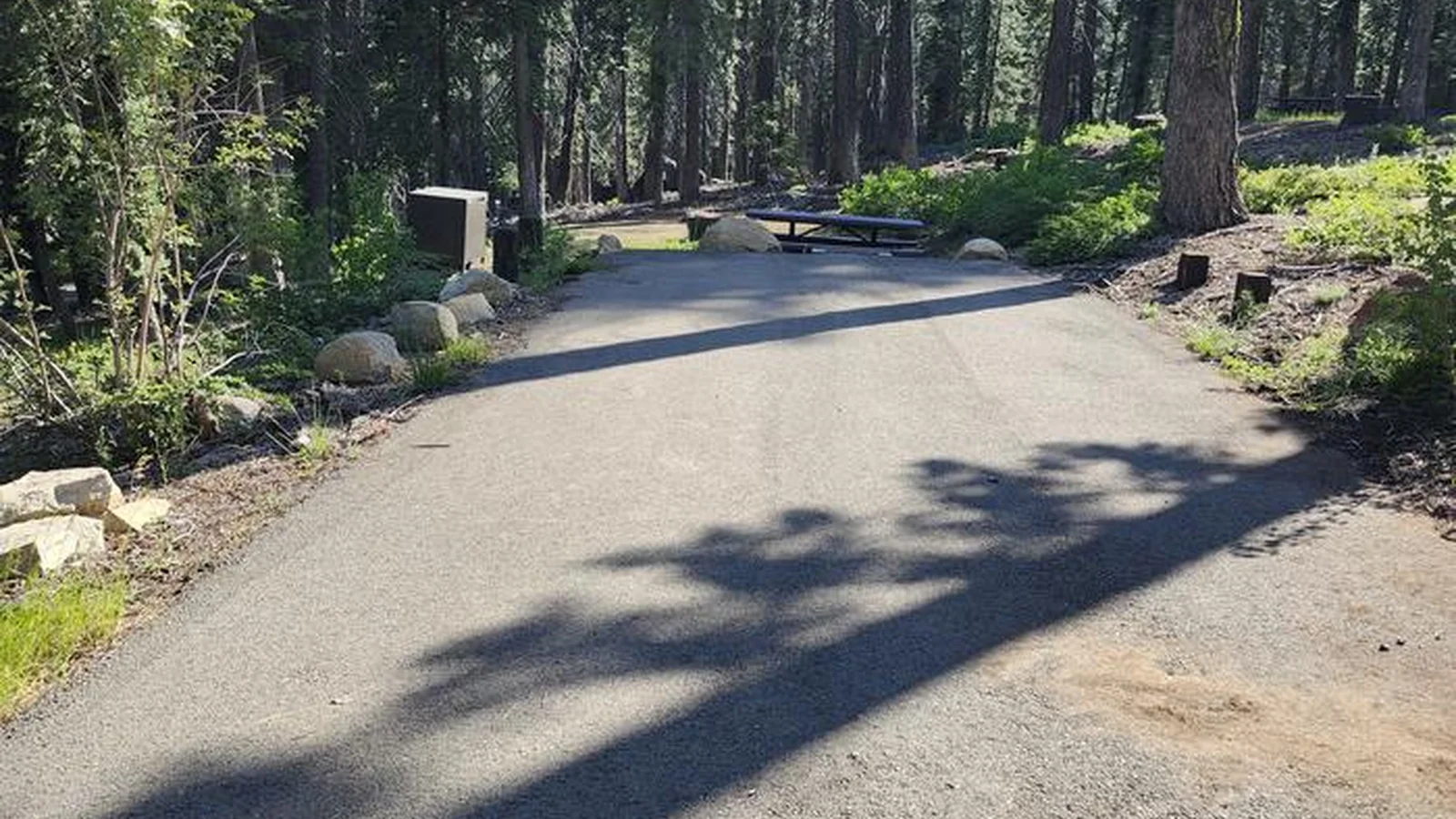 Site # 1 Upper Billy Creek CG
