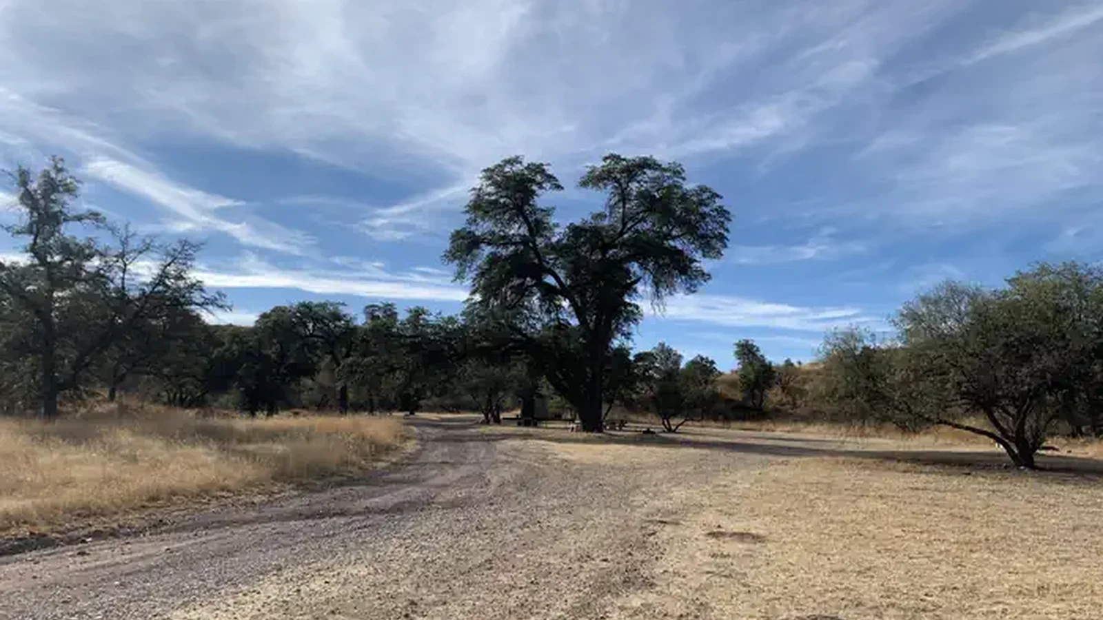 The gravel and dirt road entering the campsite.
