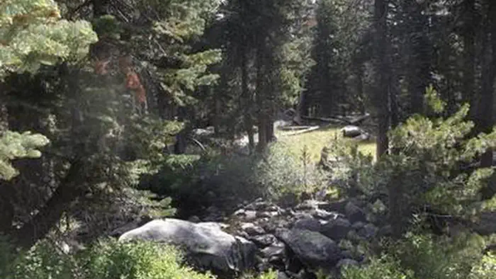WRIGHTS LAKE EQUESTRIAN CAMPGROUND