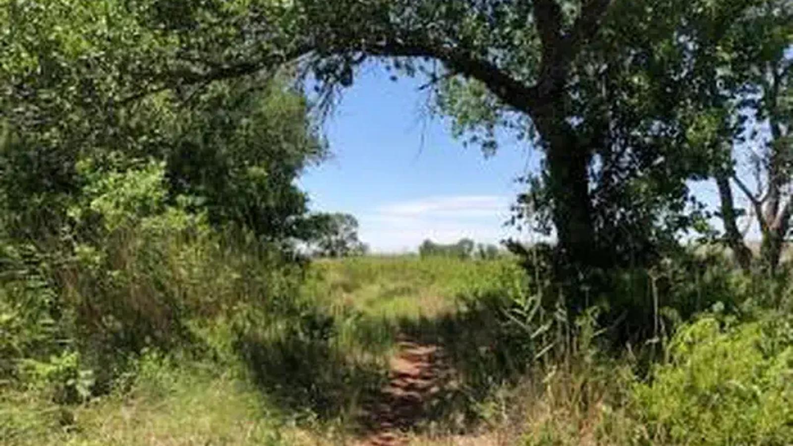 Mullinaw Trail