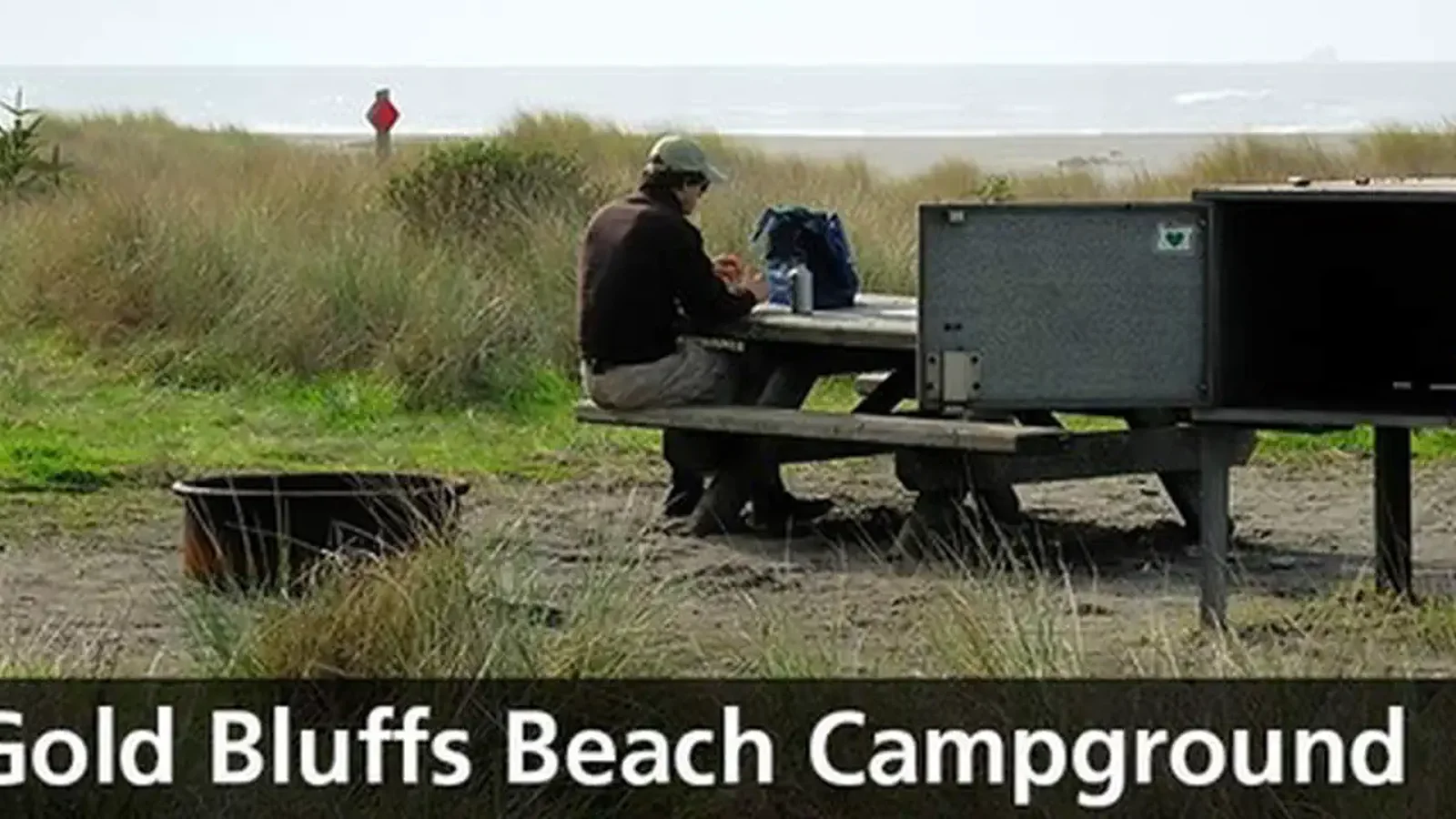 Gold Bluffs Beach campsite