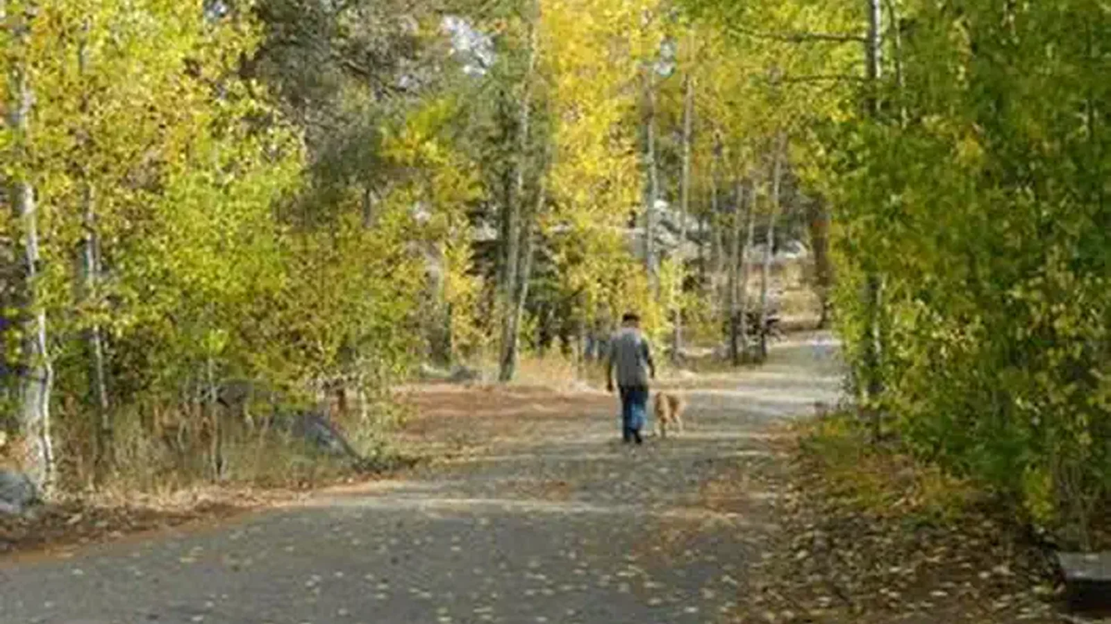 KIT CARSON CAMPGROUND