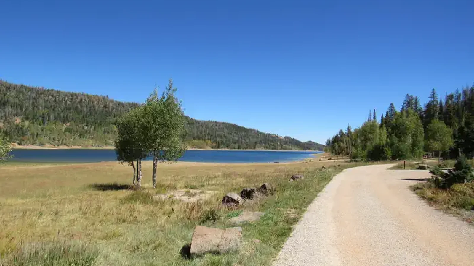 Road at the lower end of the campground looking out at the lake.