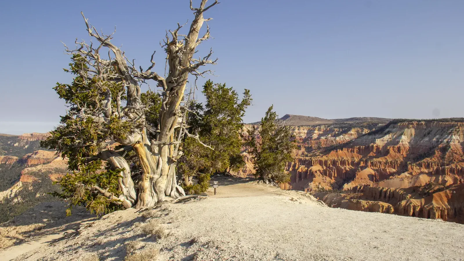 Cedar Breaks