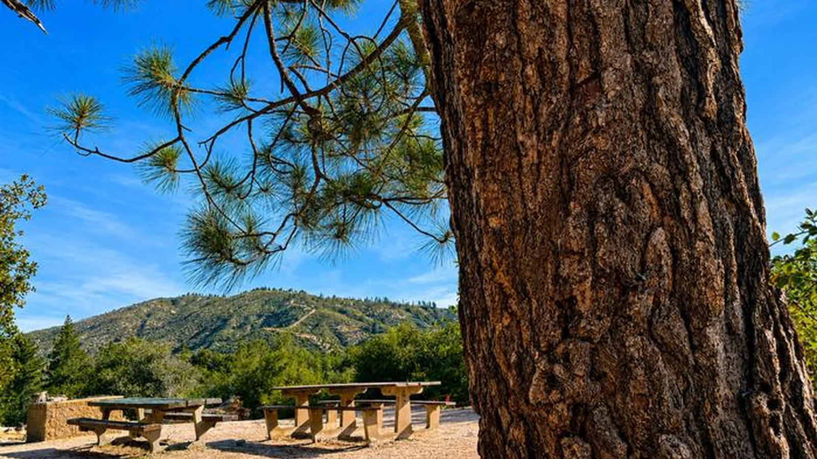 View from main area of the campground