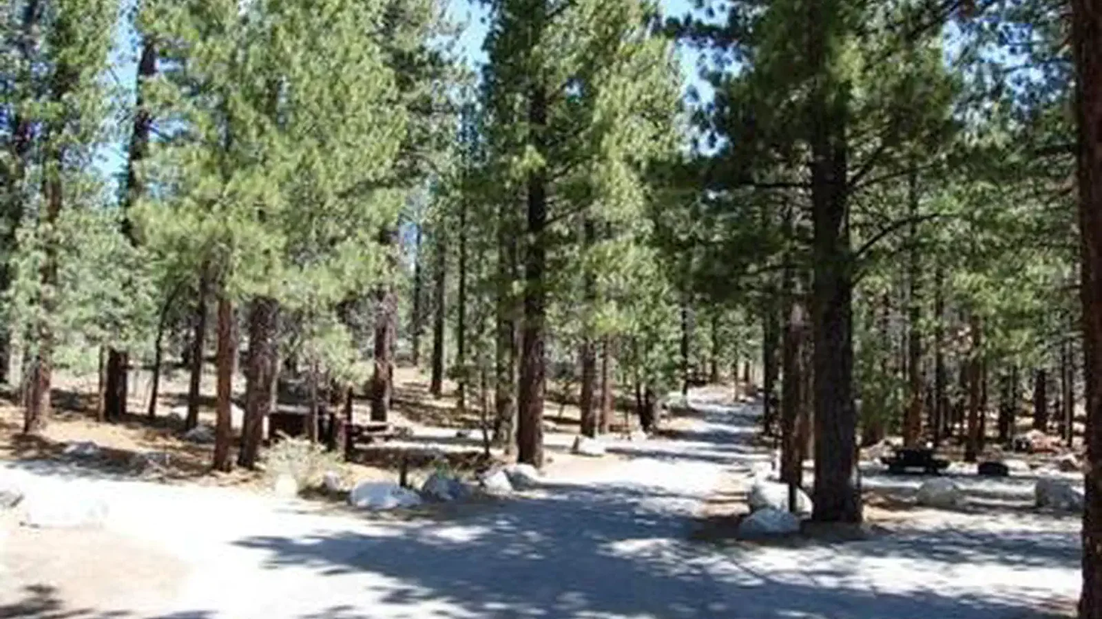 NEW SHADY REST CAMPGROUND