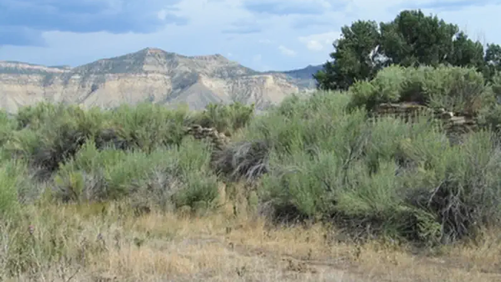 Walls of the Yucca House Pueblo