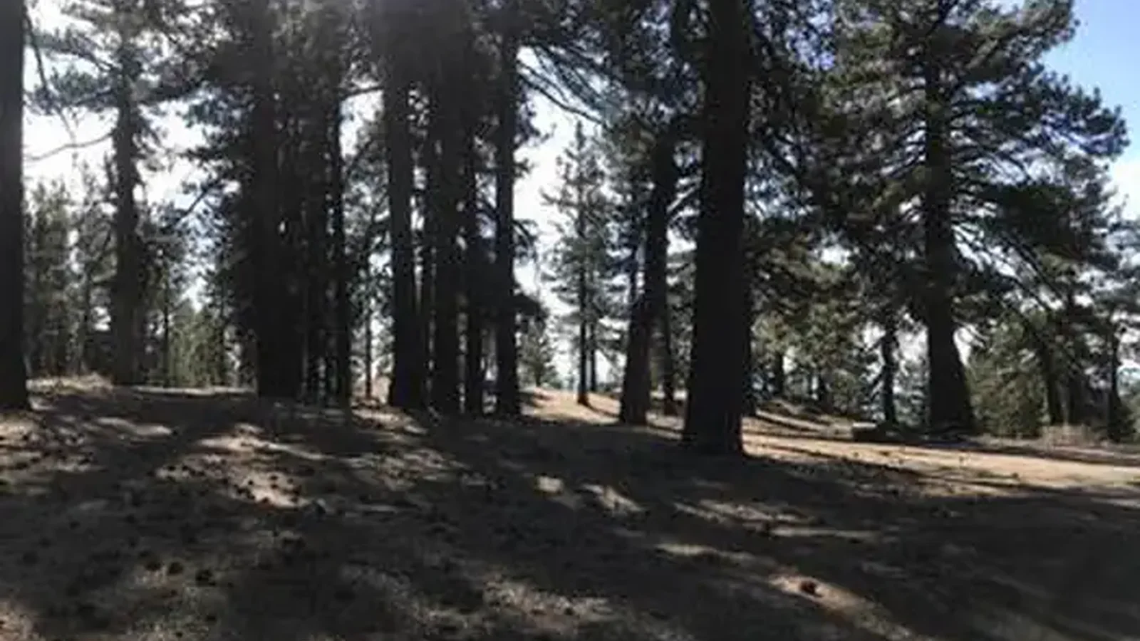 CAMPO ALTO CAMPGROUND