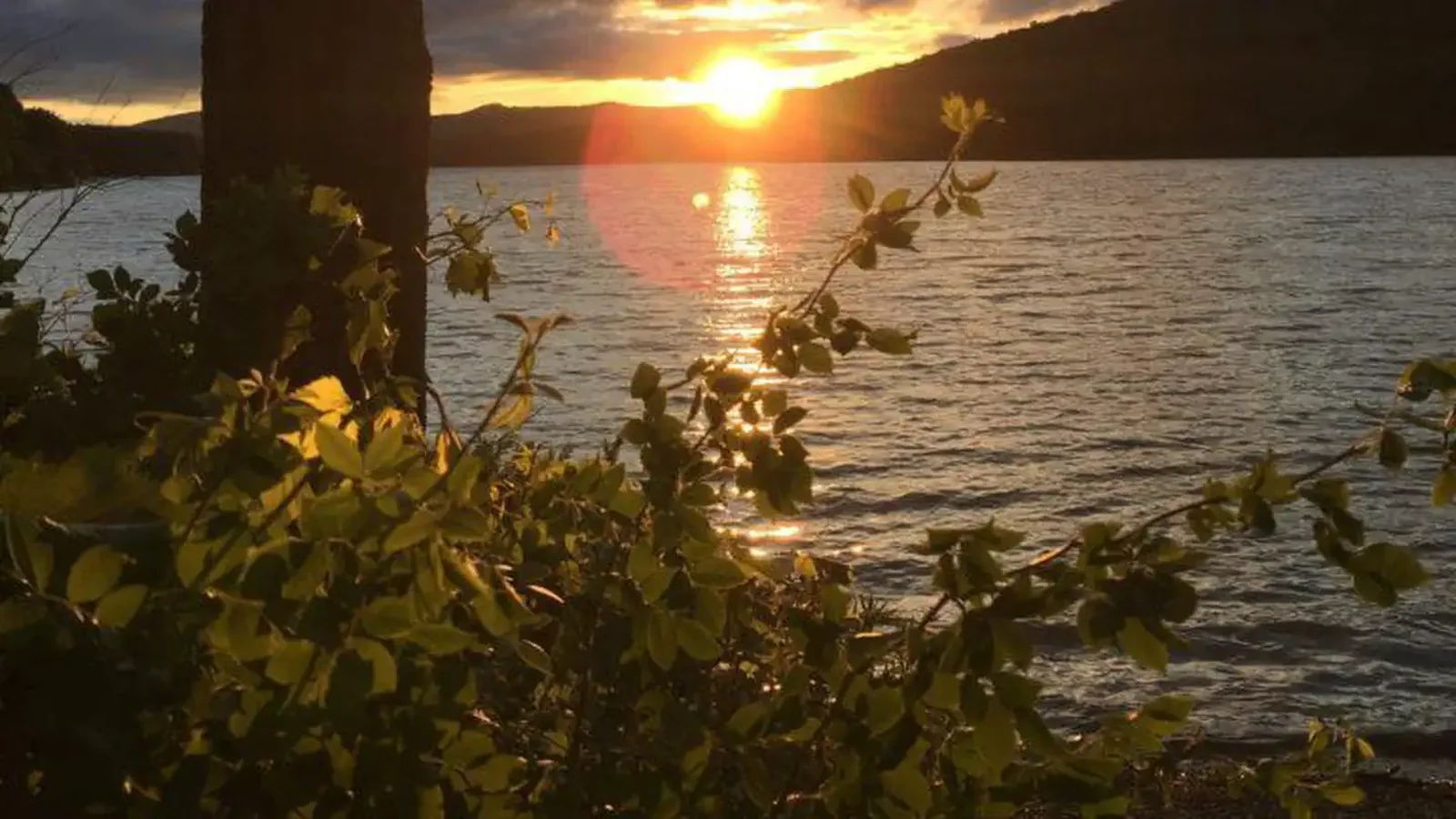 This small rustic campground is located on the east bank of the Allegheny Reservoir just north of Sugar Bay