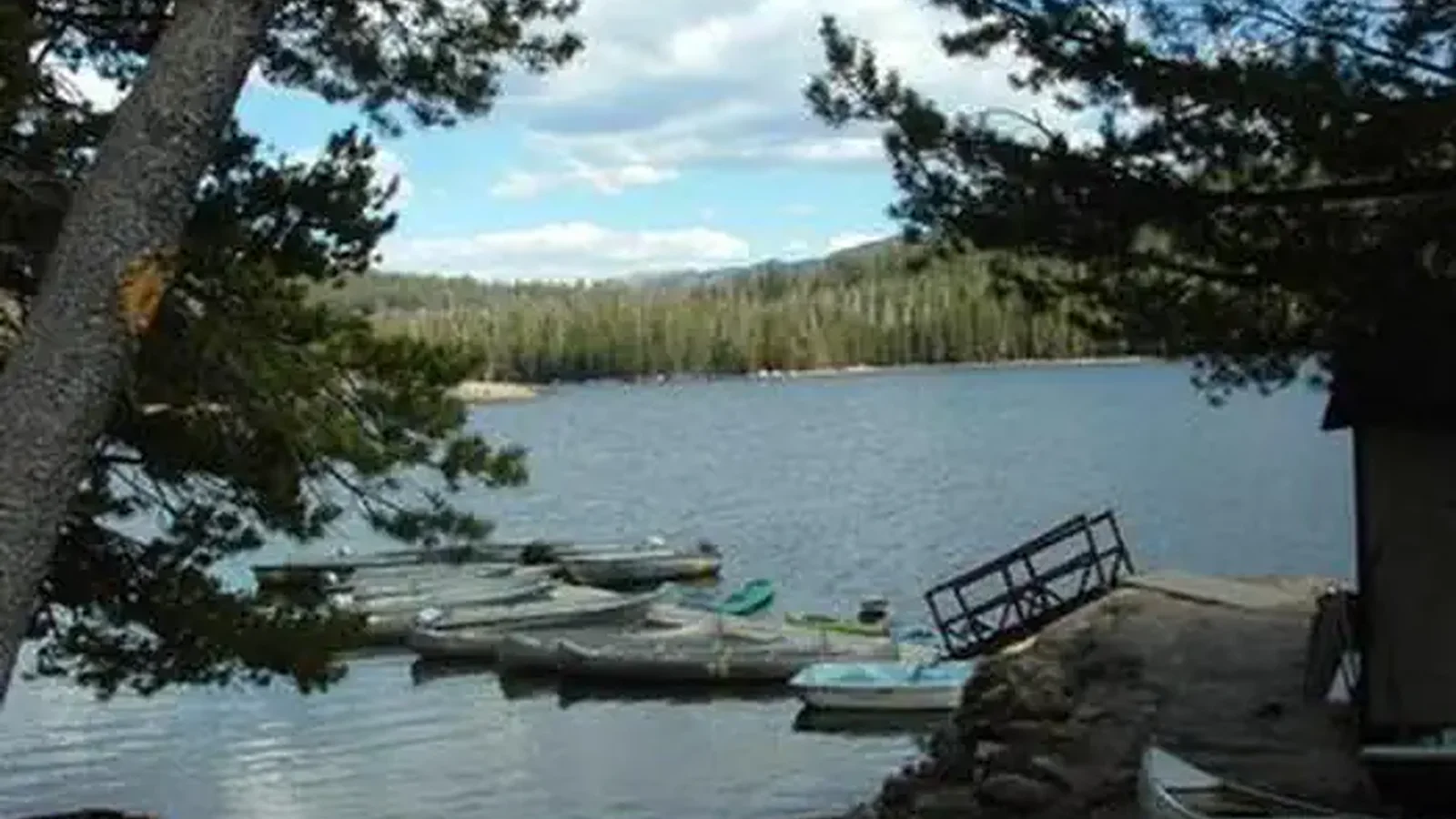 LAKE ALPINE - LODGEPOLE GROUP