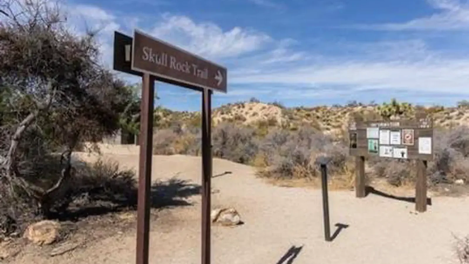Trailhead near Campground
