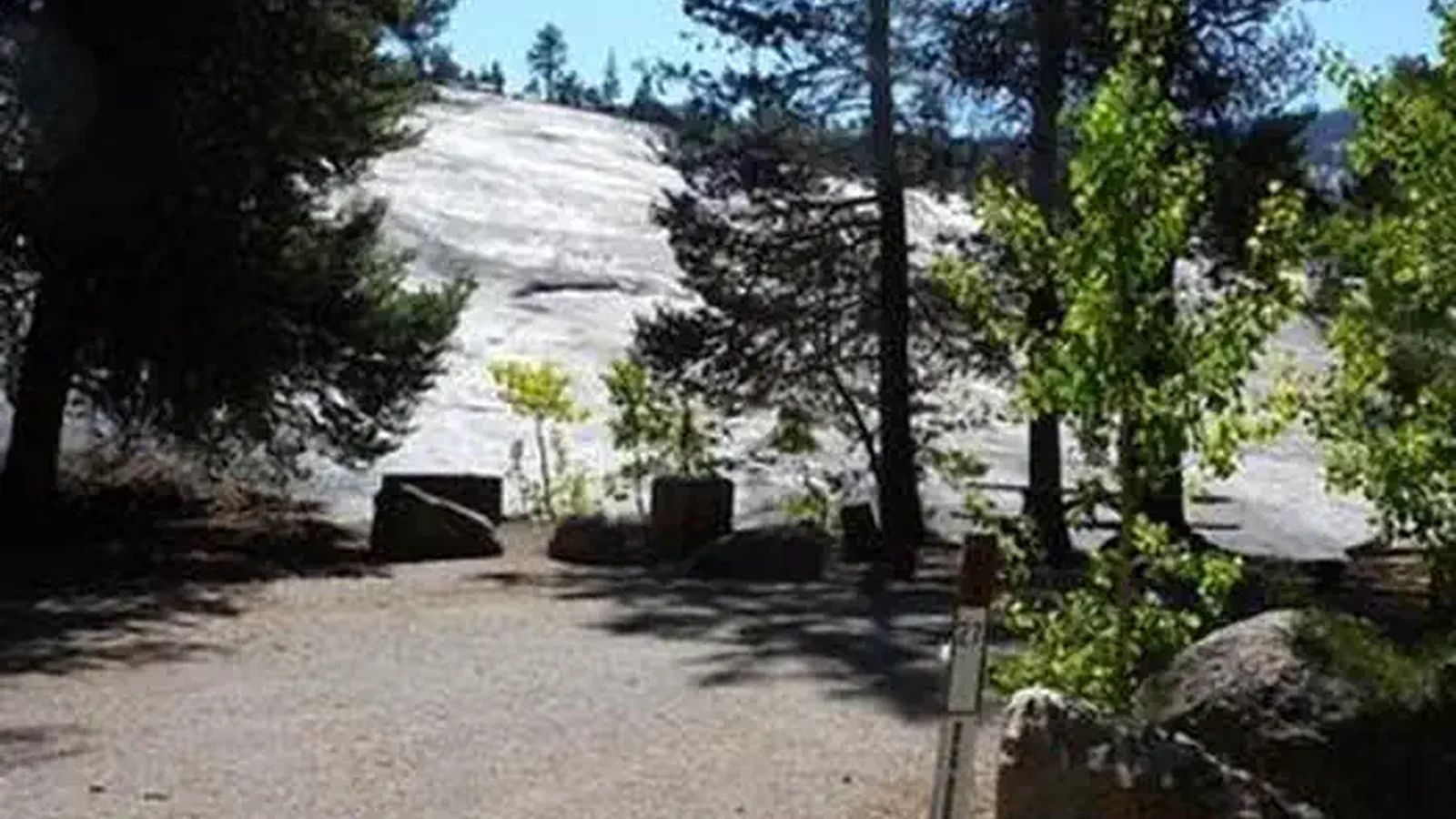 JACKASS MEADOW