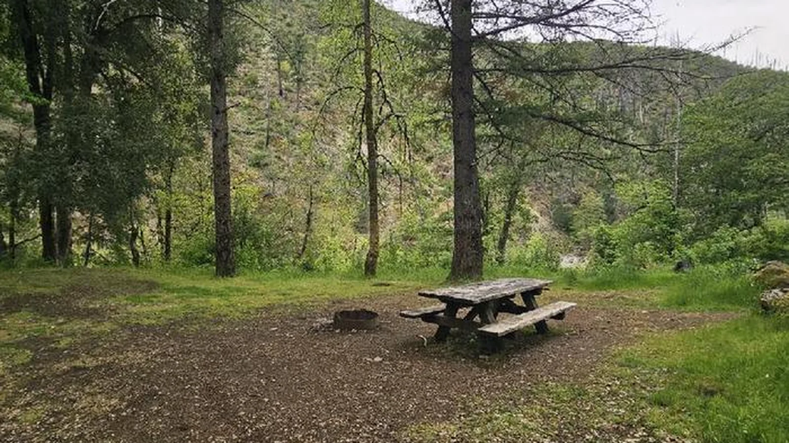 Campsite Store Gulch Campground