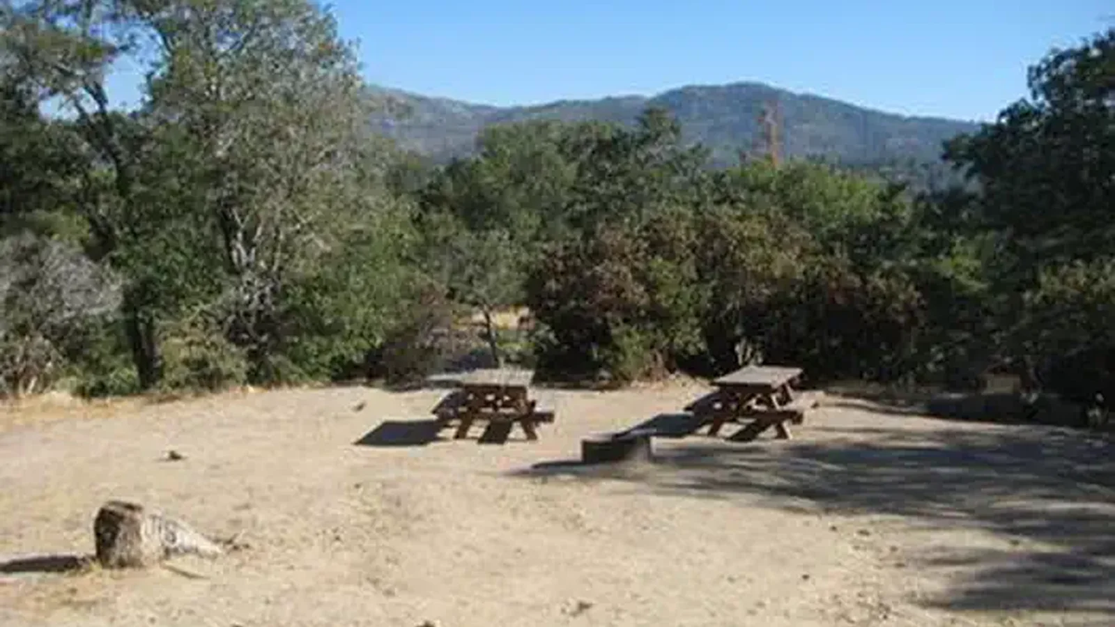 Scenic view of Picnic Tables & Fire Ring at North Shore Campground