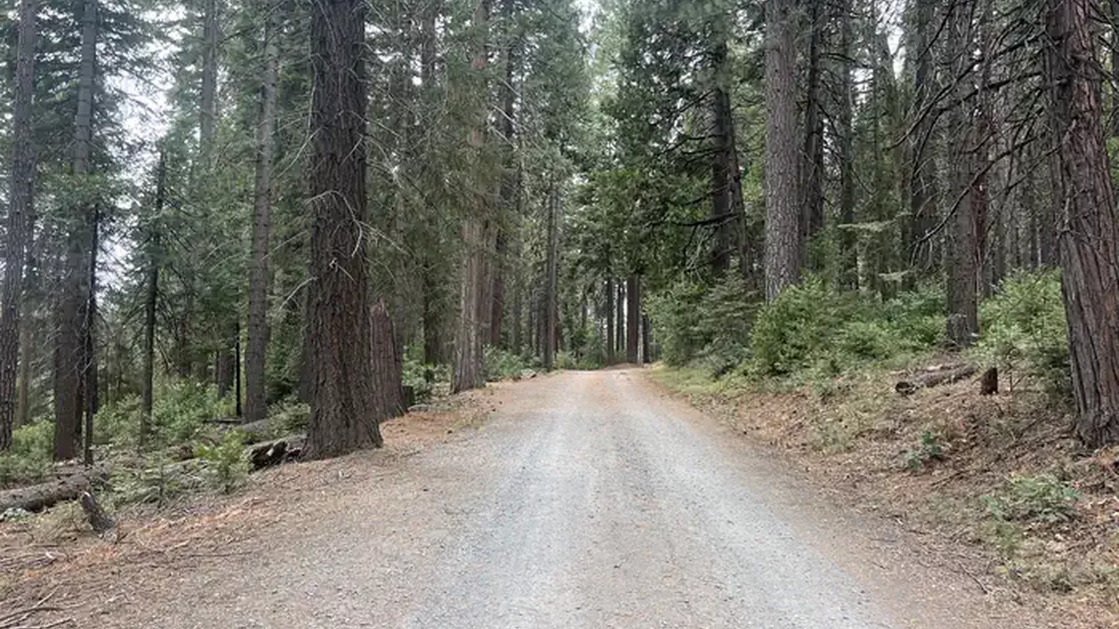 PONDEROSA COVE GROUP CAMPGROUND