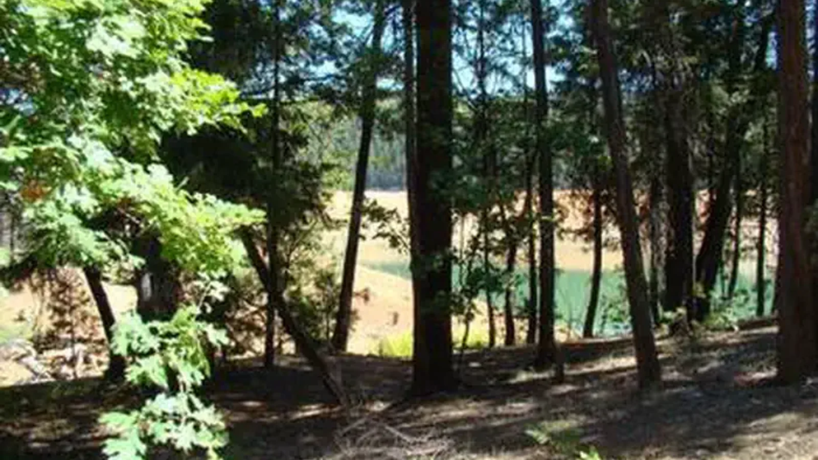 MINERSVILLE CAMPGROUND