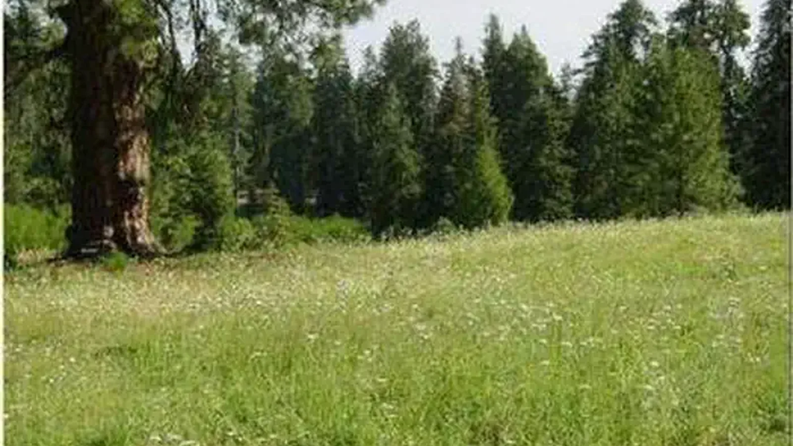 MASTERSON GROUP CAMPGROUND