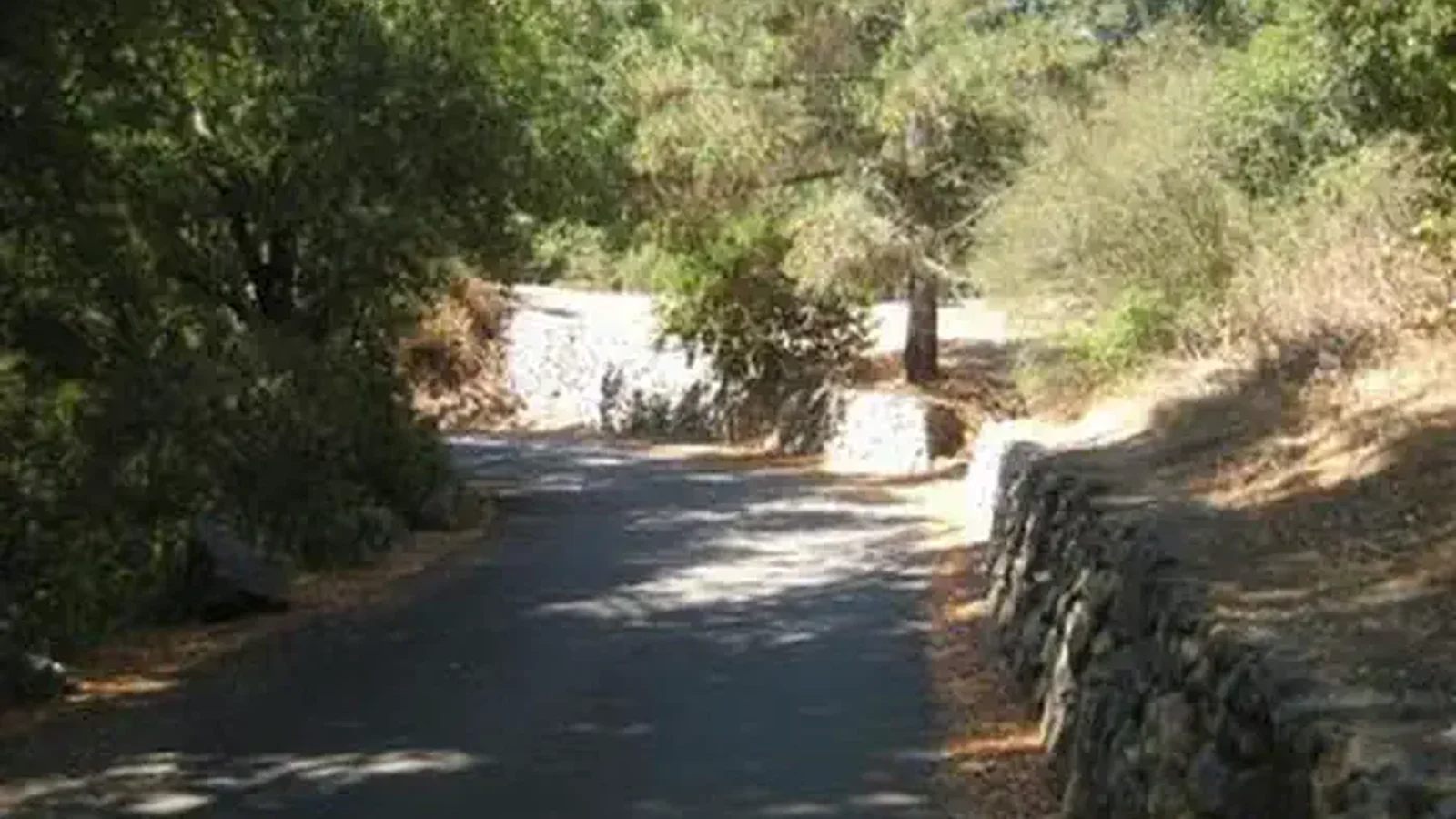 CERRO ALTO CAMPGROUND