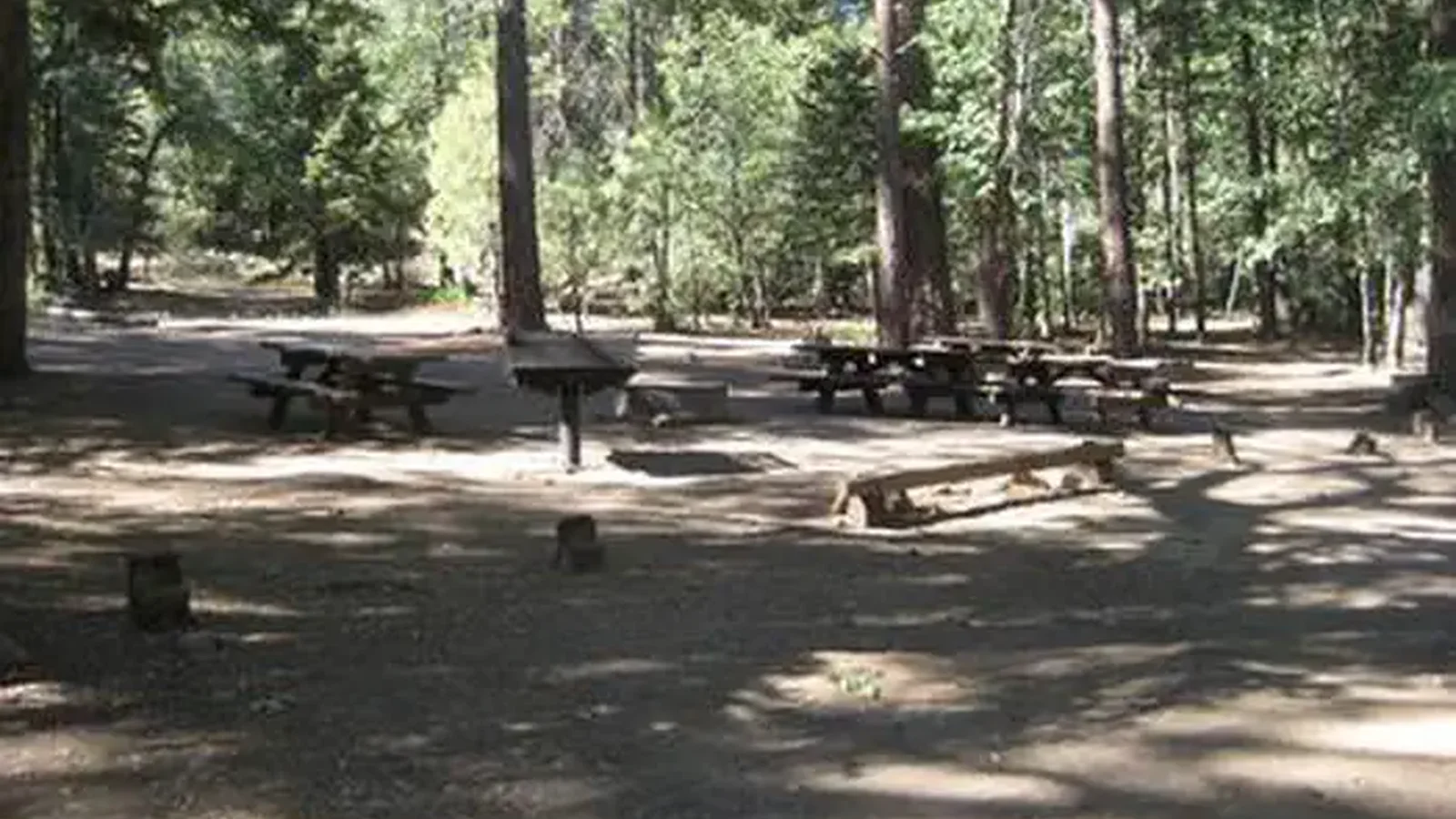 Shaded area at Buttercup Group Camp.