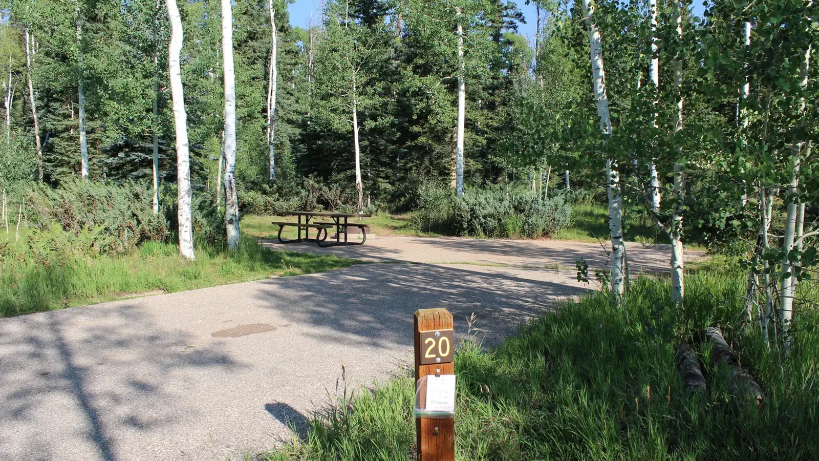 Campsite 20
