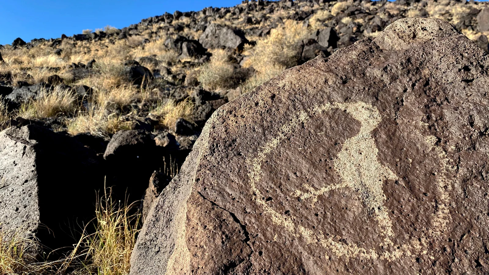 Bird Petroglyph