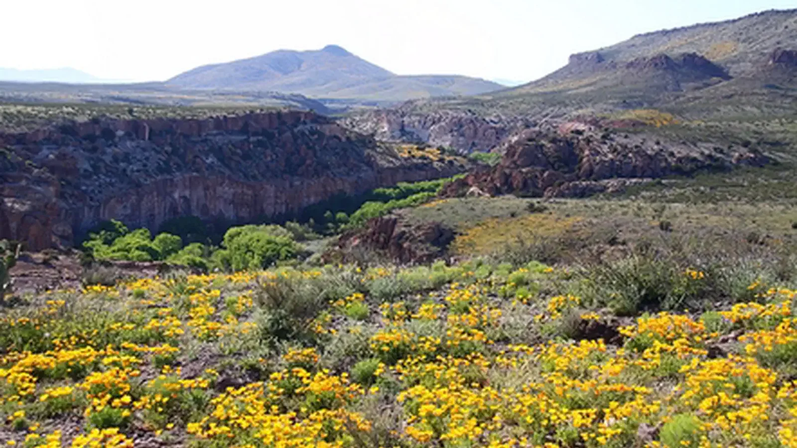 Gila Lower Box Canyon