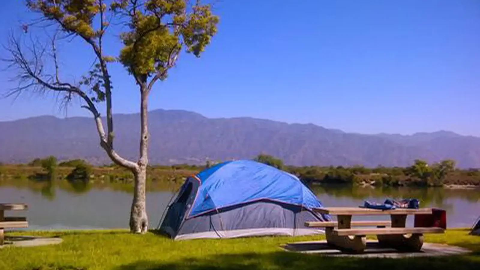 Camping Fun
