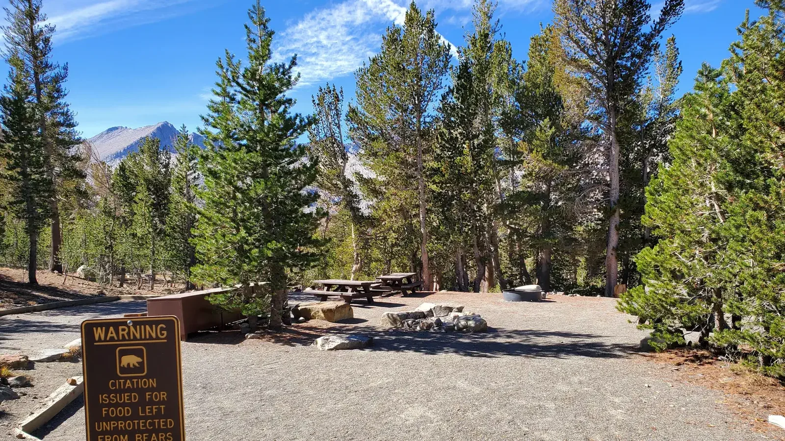 Trailhead Group