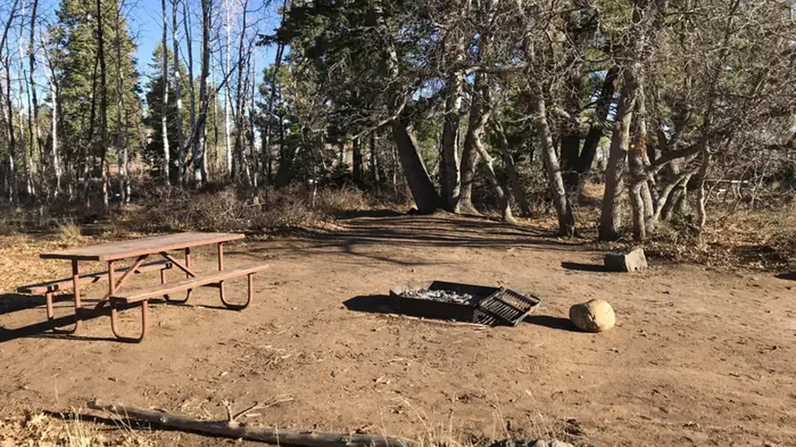 Picnic table and fire ring inside a dirt campsite surrounded by forest.