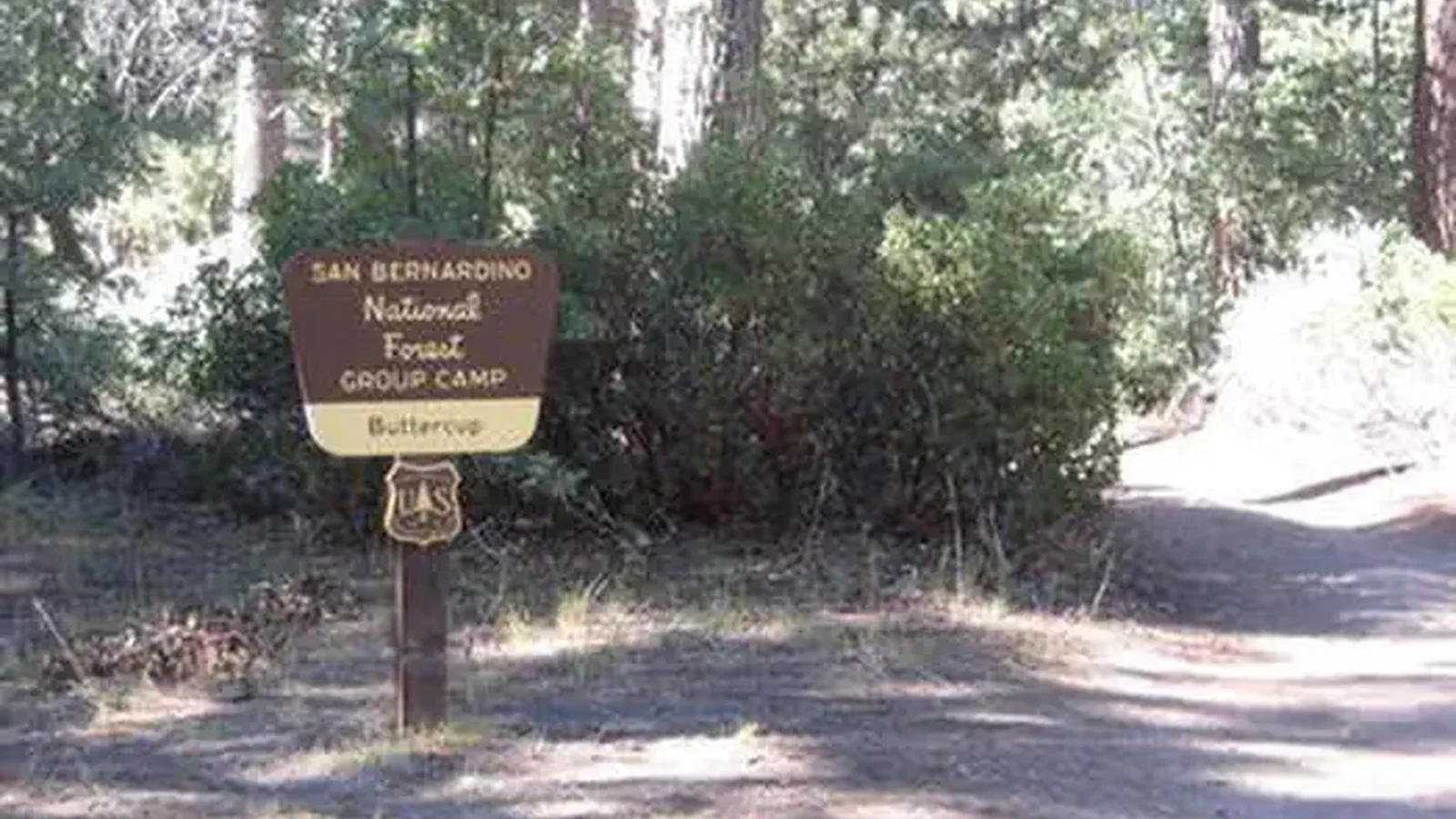 Buttercup Group Camp Sign