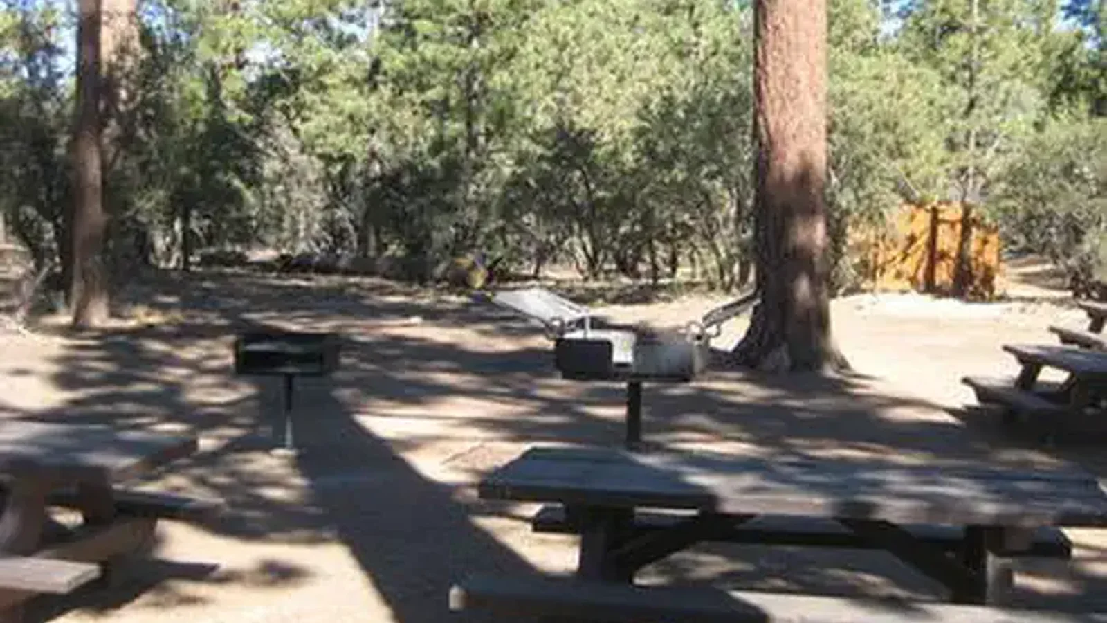 BBQ Grills & Picnic Tables at Tanglewood Group Camp Sign