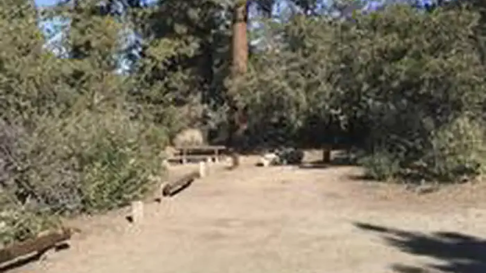 CHUCHUPATE CAMPGROUND
