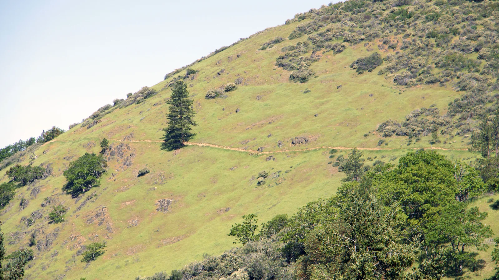 East ART trail