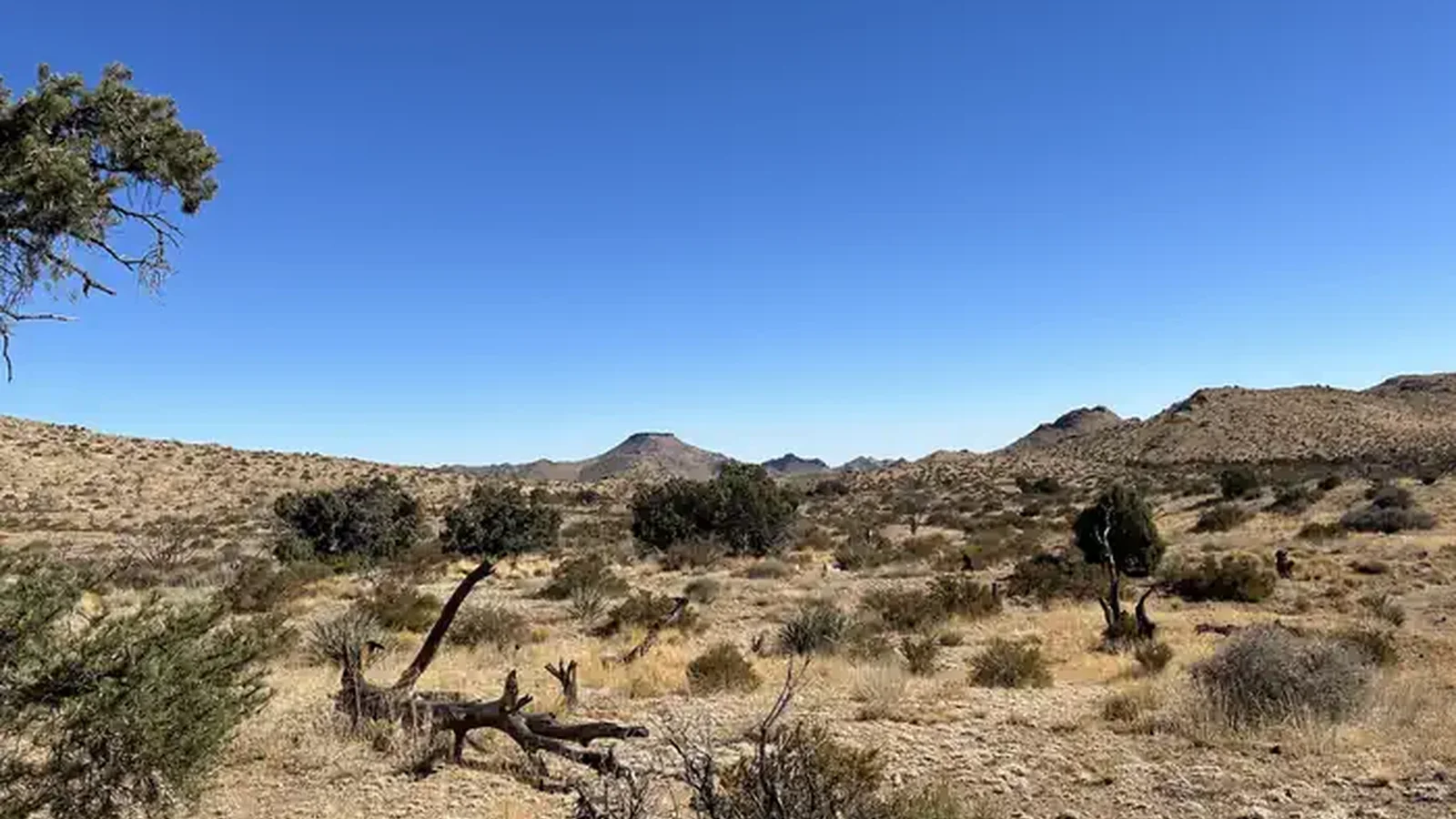 Overview of Mid Hills Campground