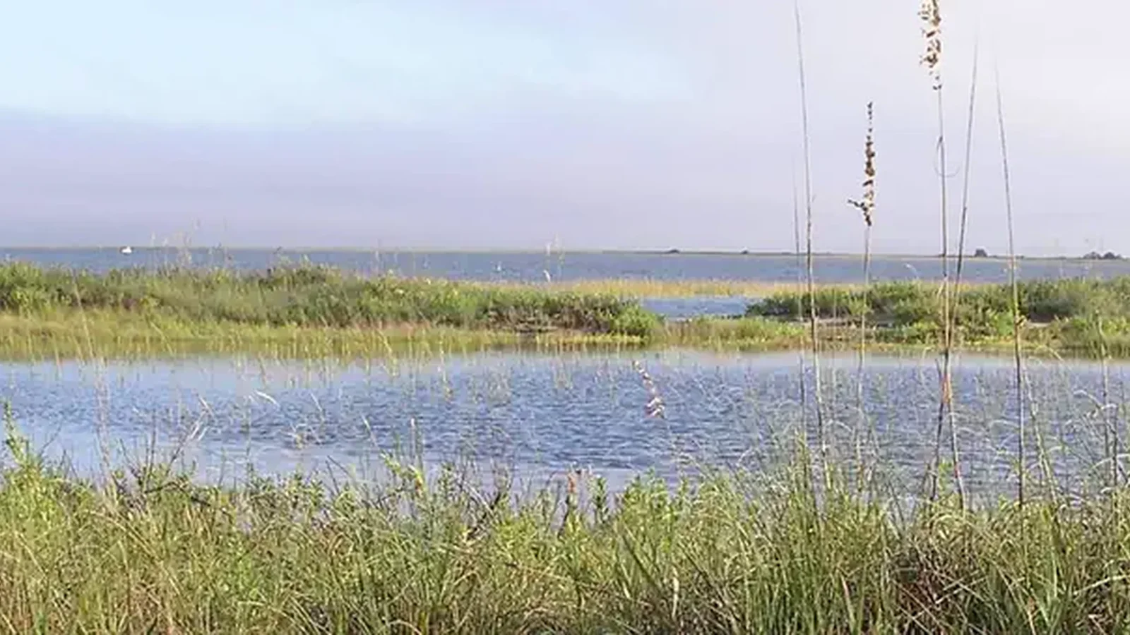Cape Romain National Wildlife Refuge