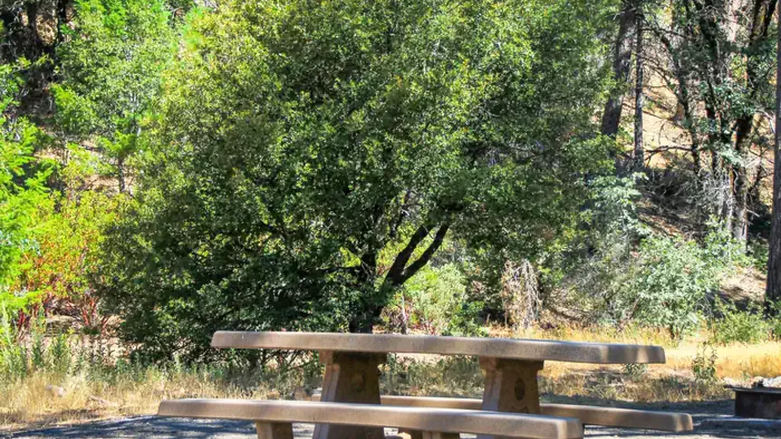 Campsite at Mill Valley Campground