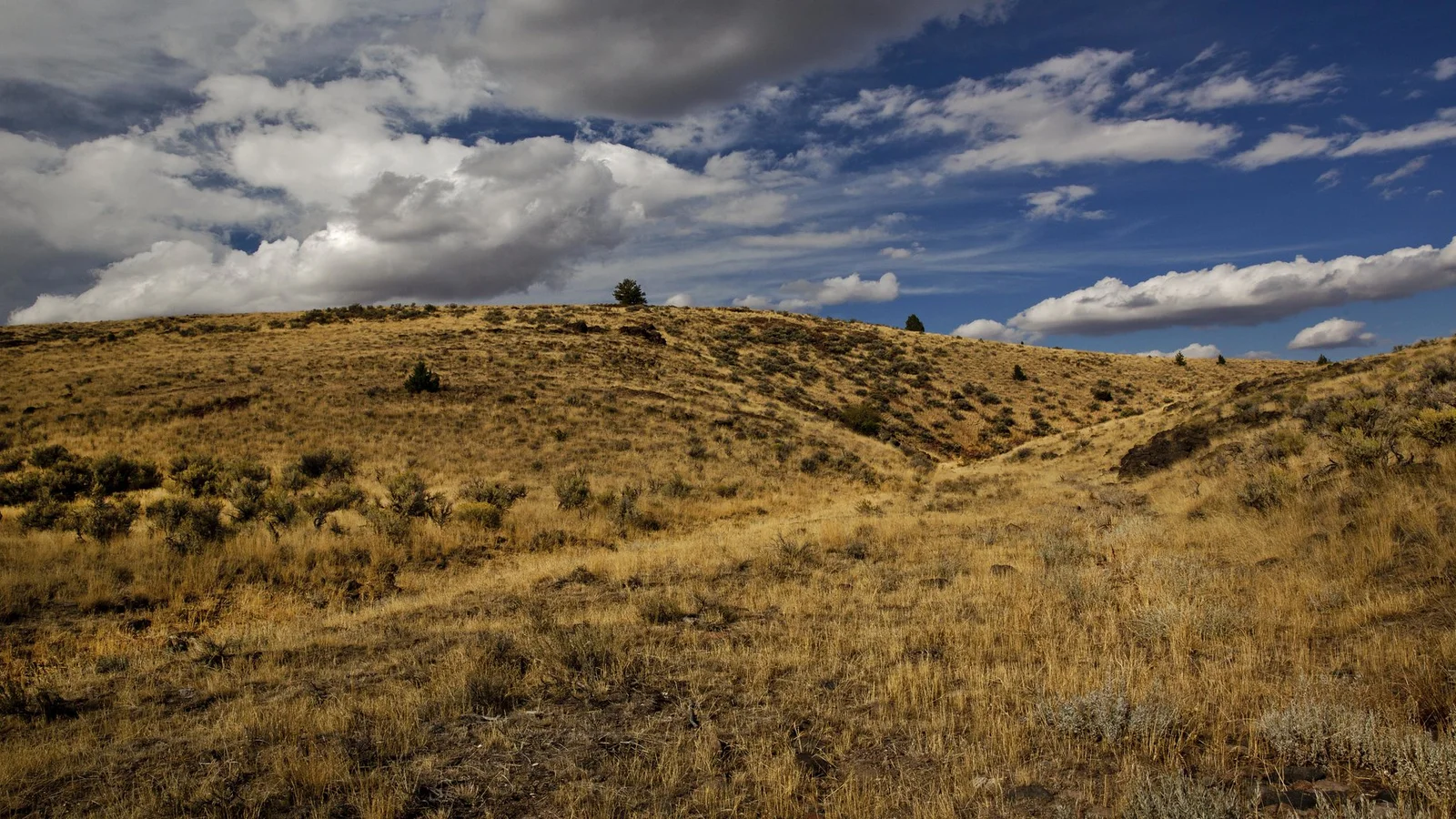 Dickshooter Creek