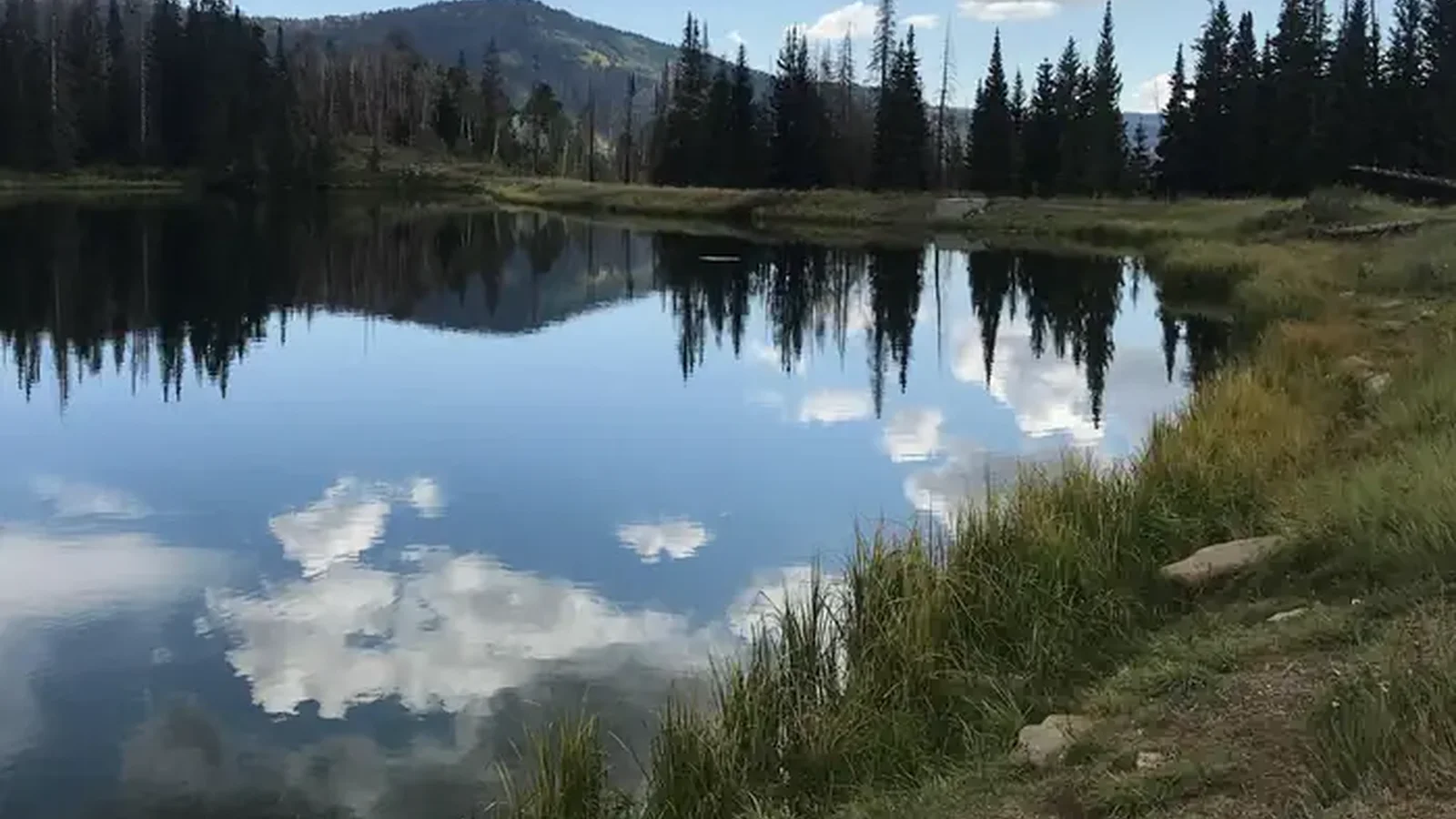 Potters Pond