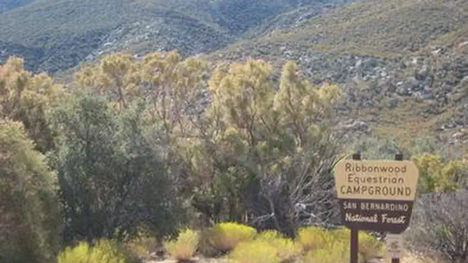Ribbonwood Equestrian Campground Scenic Background