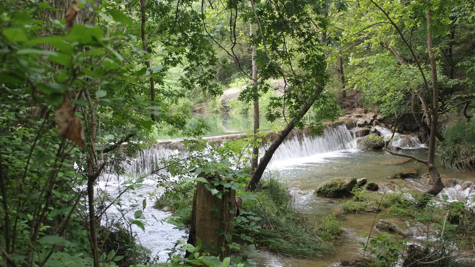 A small waterfall surrounded by lush greenery in the summer.