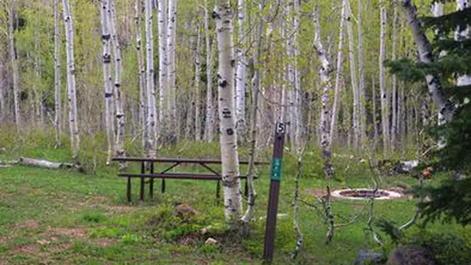 DEER HAVEN
