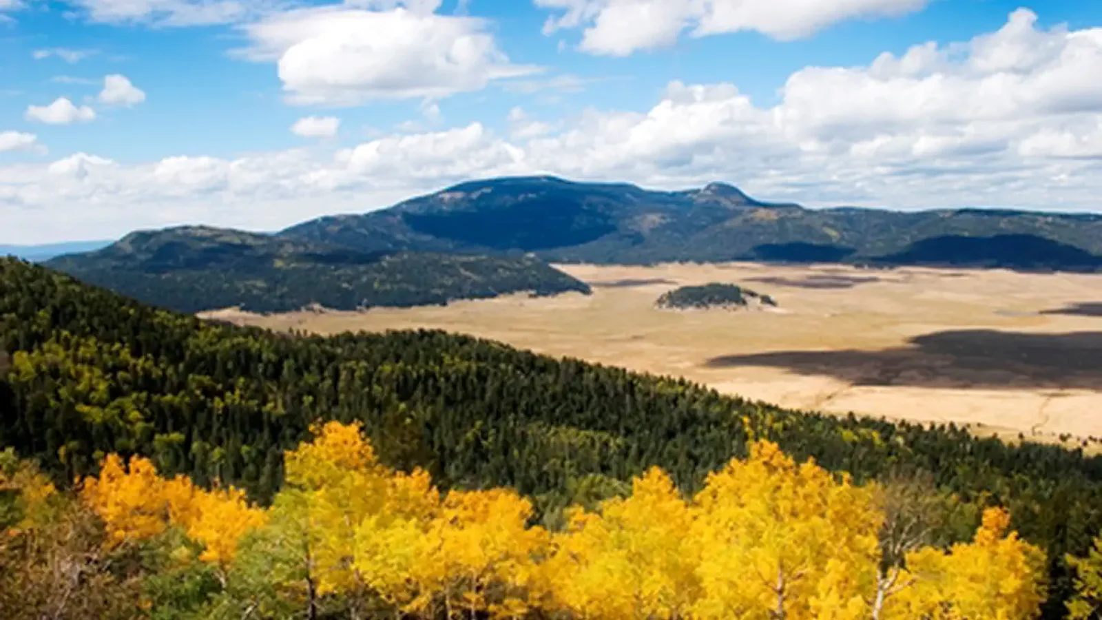 Fall Colors