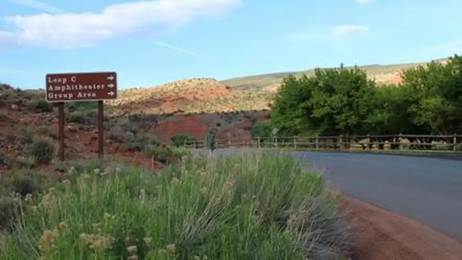 A paved road. To the right side there is desert fauna and a brown sign reading: "Loop C *right arrow* Amphitheater *right arrow* Group Area *right arrow*". To the left side is a fence and some trees. There is a brown-red color hill against a blue sky in the background.