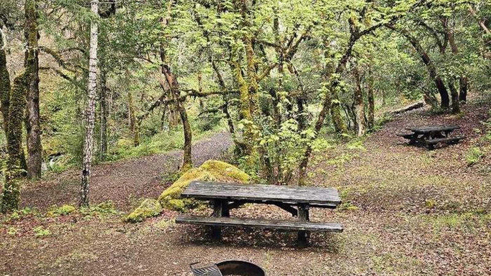 Campsite